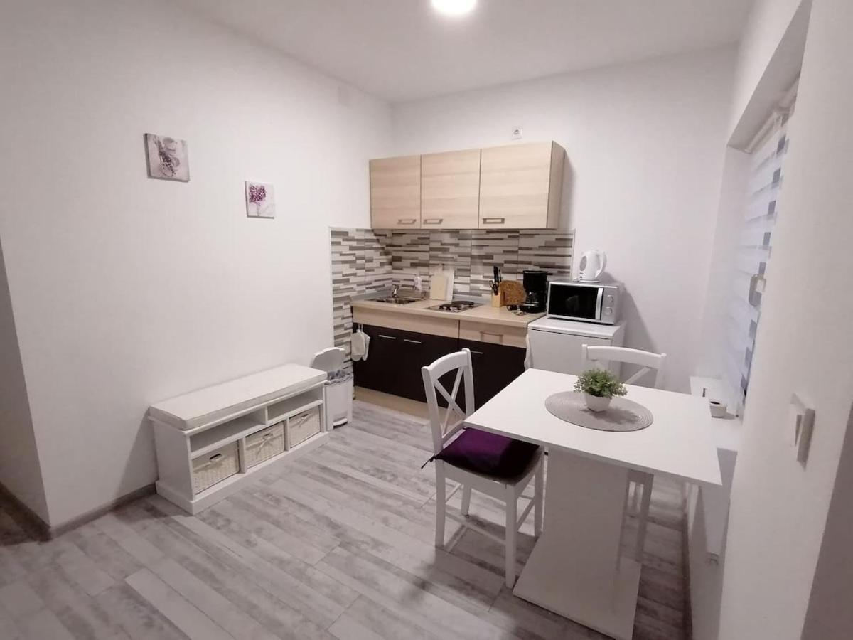 Apartman Lidija Dinjiška Zewnętrze zdjęcie