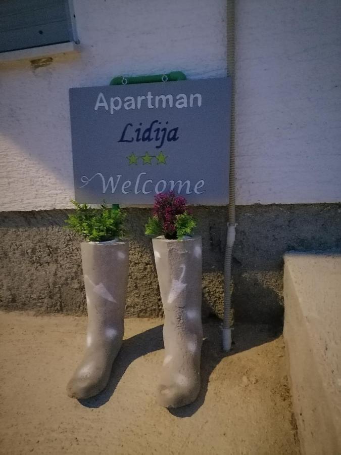 Apartman Lidija Dinjiška Zewnętrze zdjęcie